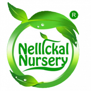 Nellickal Nursery Logo – Premium Garden, Plant & Landscape Consultation Services in Kerala